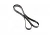Поликлиновой ремень Gates 6PK1600XS (фото 1)