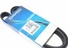 Ремень поликлиновый DAYCO 6PK1500 (фото 1)