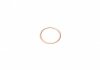 Уплотнительное кольцо, резьбовая пр, Уплотнительное кольцо VICTOR REINZ 41-72065-30 (фото 1)