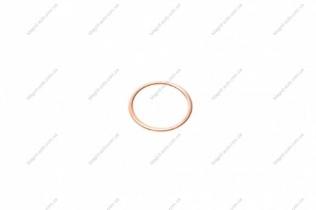 Уплотнительное кольцо, резьбовая пр, Уплотнительное кольцо VICTOR REINZ 41-72065-30 (фото 1)