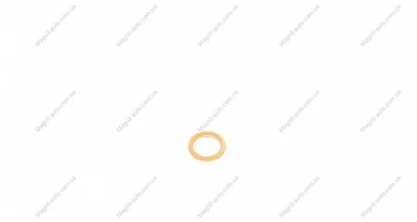 Уплотнительное кольцо, резьбовая пр, Уплотнительное кольцо REINZ VICTOR REINZ 41-70059-00