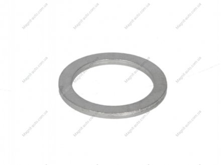 Уплотнительное кольцо, резьбовая пр, Уплотнительное кольцо ELRING 246.000 (фото 1)