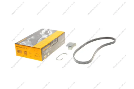 Ремінь поліклиновий, комплект Contitech 4PK922 ELAST T1