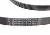 Пас поликлиновый MB S-class (W221/W222)/E-class (W) Contitech 6PK2528 (фото 2)