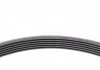 Пас поликлиновый MB S-class (W221/W222)/E-class (W) Contitech 6PK2528 (фото 4)
