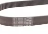 Пас поликлиновый BMW 7 (E38) 94-01/Nissan Juke/Qashqai Contitech 7PK1040 (фото 3)