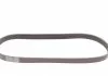 Пас поликлиновый BMW 7 (E38) 94-01/Nissan Juke/Qashqai Contitech 7PK1040 (фото 5)