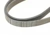 Ремень поликлиновый, MERCEDES-BENZ C-class W203/S202/S203/CL203, 00-02 Contitech 6PK2035 (фото 3)
