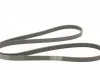 Ремень поликлиновый, MERCEDES-BENZ C-class W203/S202/S203/CL203, 00-02 Contitech 6PK2035 (фото 5)
