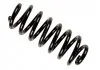Пружина Bilstein BMW X5 (E53)X5 II (E70, E70N) "R "00-12 BILSTEIN 36-174041 (фото 1)