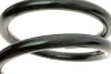 Пружина перед. FORD, FORD TRANSIT 350 JUMBO 2,4 TD, RWD 99-06 LESJOFORS 4027586 (фото 3)