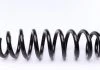 Пружина зад. BMW, 318i / 318d / 320i / 320d / 325i / 330i / 330d 1/05- LESJOFORS 4208455 (фото 4)