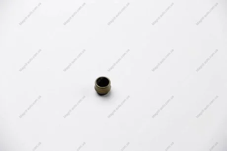 Сальник клапану DIVERSE VICTOR REINZ 70-31306-00