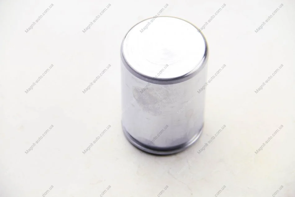 Поршень, корпус скобы тормоза SEINSA D025309 AUTOFREN D0 25309 (фото 1)