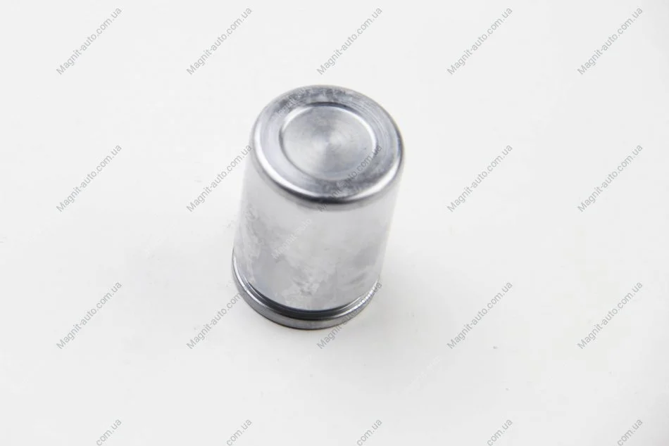 Поршень, корпус скобы тормоза SEINSA D025302 AUTOFREN D0 25302 (фото 1)