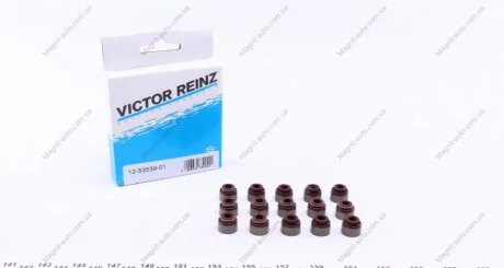 Комплект прокладок VICTOR REINZ 12-53539-01