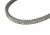 Ремень клиновый 13X925 Contitech AVX 13X925 (фото 3)
