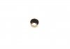 Уплотнительное кольцо, стержень кла ELRING 010.250 (фото 2)