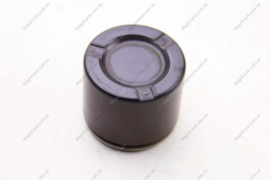 Поршень, корпус скобы тормоза SEINSA D025364 AUTOFREN D0 25364 (фото 1)