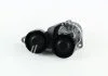 Натягувач поліклинового ременя VOLVO S60 I, S80 I, V70 II, XC70 I, XC90 I 2.4D 01-14 INA 534 0319 10 (фото 1)