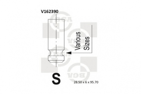 Клапан головки блоку циліндрів двигуна BGA V162390 (фото 1)
