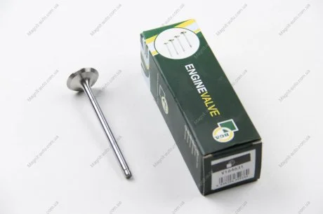 Клапан головки блока цилиндров двигателя BGA V164631