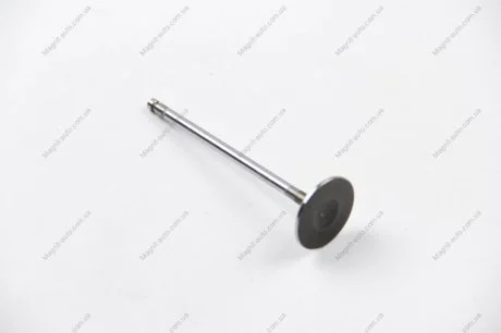 Клапан головки блоку циліндрів двигуна BGA V165400