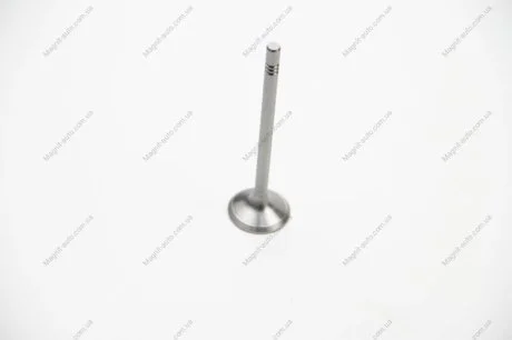 Клапан головки блоку циліндрів двигуна BGA V165640