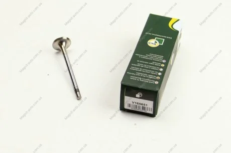 Клапан головки блоку циліндрів двигуна BGA V165651