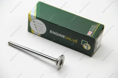 Клапан головки блоку циліндрів двигуна BGA V537845