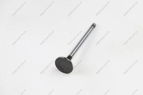 Клапан головки блоку циліндрів двигуна BGA V991804