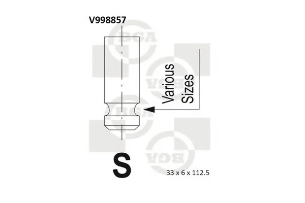 Клапан головки блоку циліндрів двигуна BGA V998857 (фото 1)