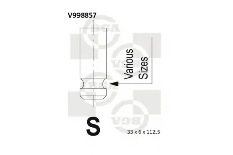Клапан головки блоку циліндрів двигуна BGA V998857