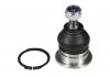 Слоеная опора (верх передний) (диаметр конуса 12,7mm) HONDA ACCORD VI, ACCORD VII 1.6-3.0 12.99-05.08 MOOG HO-BJ-10953 (фото 1)