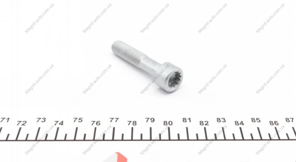 Болт валу привідного (з внутрішнім не шестигранним шліцем) FEBI BILSTEIN 09455 (фото 1)