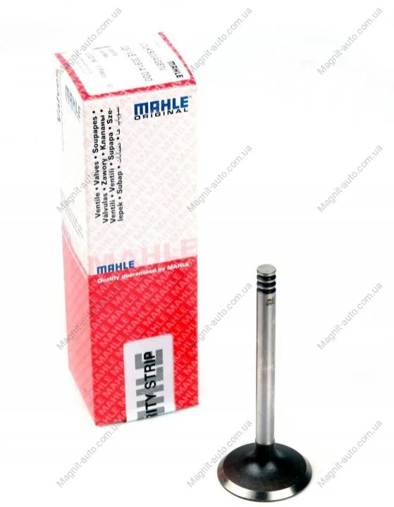 Клапан головки блоку циліндрів впускний MAHLE / KNECHT 029VE30914000 (фото 1)