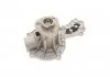 Помпа води, 1.9D-TD SKF VKPC 81410 (фото 6)