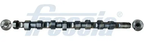 Розподільний вал CITROEN/PEUGEOT 2,0HDI 99- FRECCIA CM05-2142 (фото 1)