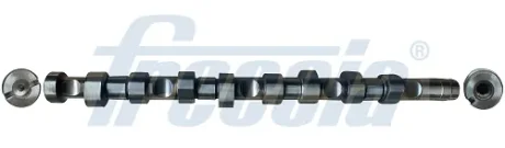 Розподільний вал CITROEN/PEUGEOT 2,0HDI 99- FRECCIA CM05-2142