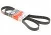 Ремінь генератора Megane/Scenic 1.4 16V 09- Gates 7PK1785 (фото 1)
