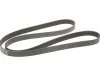 Ремінь генератора Megane/Scenic 1.4 16V 09- Gates 7PK1785 (фото 2)