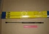 Амортизатор багажника HYUN SANTA FE 00-06 (пр-во Magneti Marelli кор.код. GS0376) MAGNETI MARELLI 430719037600 (фото 1)