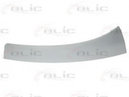 Молдинги та аксесуари BLIC 5510-00-2097913P