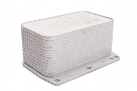 Масляный радиатор THERMOTEC D4R006TT