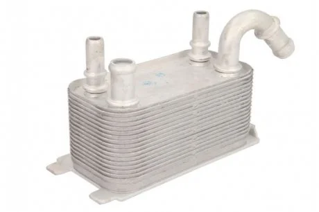 Масляный радиатор THERMOTEC D4V001TT