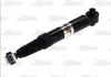 Амортизатор MAGNUM TECHNOLOGY AGP009MT (фото 1)