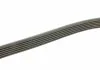 Ремень П-клиновый 6PK1530 BOSCH 1 987 948 315 (фото 3)