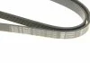 Ремень П-клиновый 6PK1530 BOSCH 1 987 948 315 (фото 4)