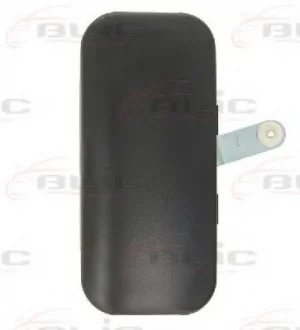Ручка двери передней лев (наружная, черная) FORD TRANSIT V, TRANSIT V FL 01.00-08.13 BLIC 6010-03-025401P
