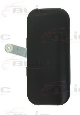 Ручка двери передних прав (наружная, черная) FORD TRANSIT V, TRANSIT V FL 01.00-08.13 BLIC 6010-03-025402P (фото 1)